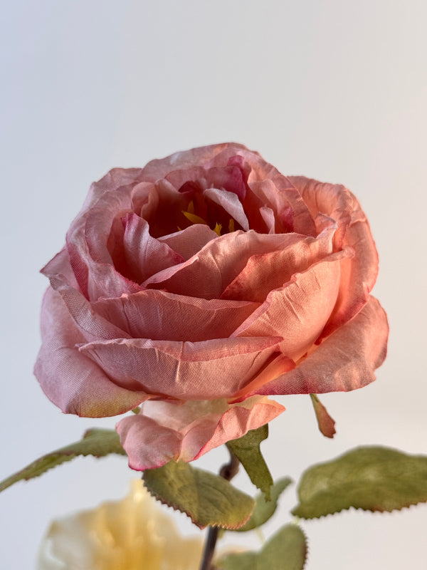 Artificial scorched-edge rose
